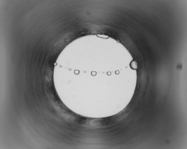 X0000114240078200911201144