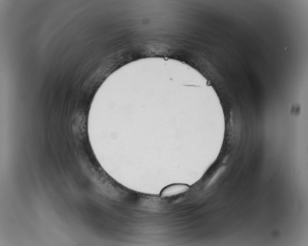 X0000114240079200911201144