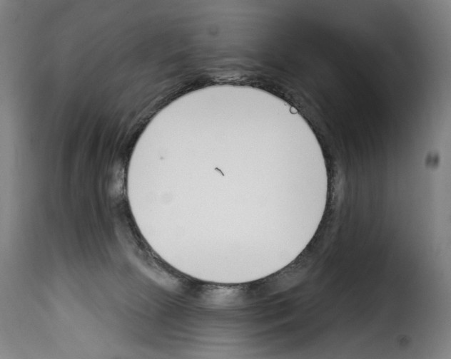 X0000114240081200911201144