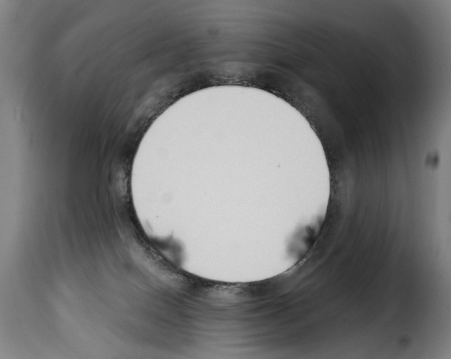 X0000114240086200911201144