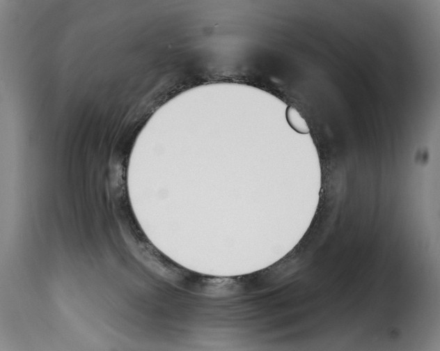 X0000114240087200911201144