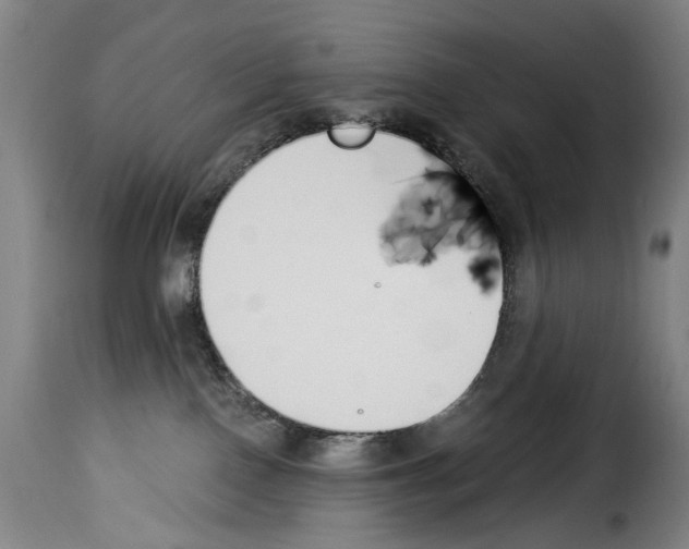 X0000114240090200911201144