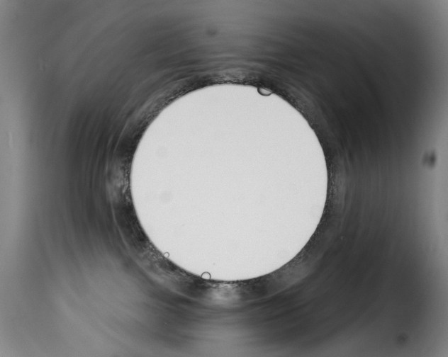 X0000114240091200911201144