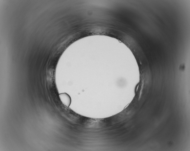 X0000114240093200911201144