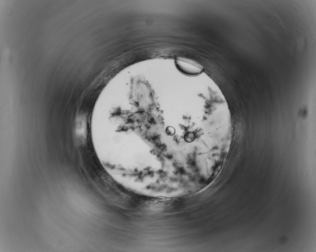 X0000114240094200911201144