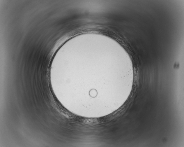 X0000114240099200911201143