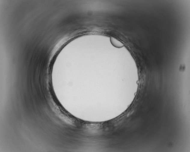 X0000114240102200911201143