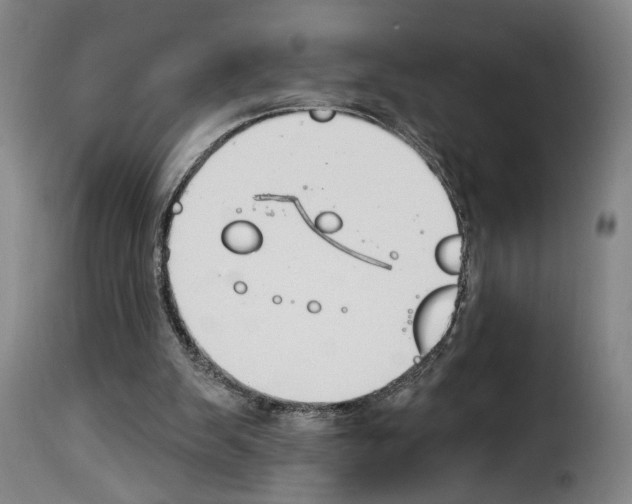 X0000114240103200911201143