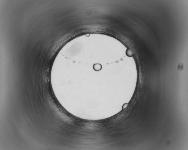 X0000114240105200911201143