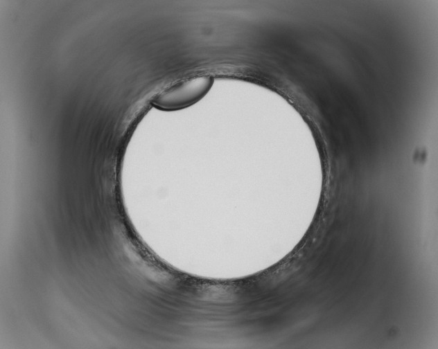 X0000114240107200911201143