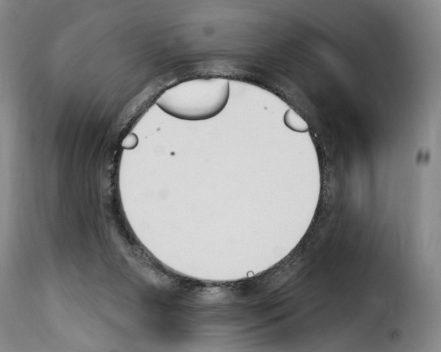 X0000114240111200911201143