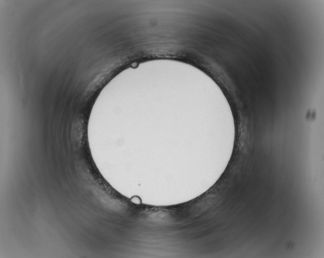 X0000114240113200911201143