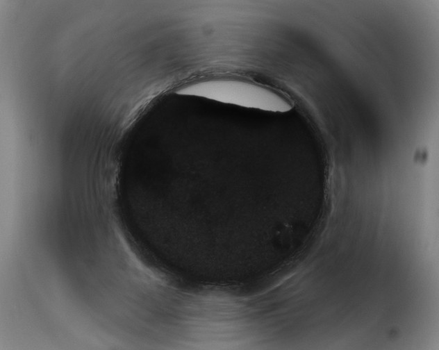 X0000114240115200911201143