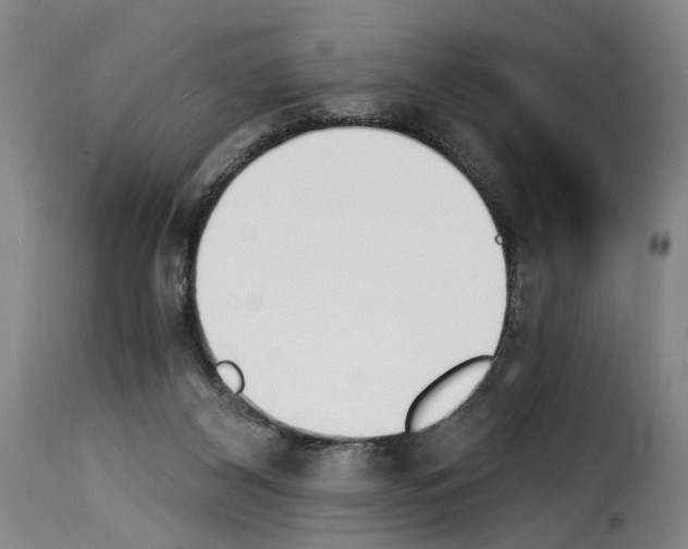 X0000114240116200911201143