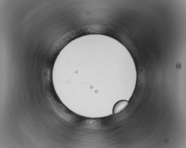 X0000114240117200911201143