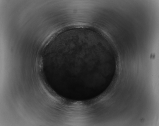 X0000114240119200911201143