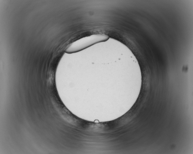 X0000114240125200911201143