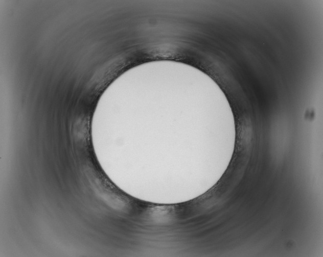 X0000114240126200911201143