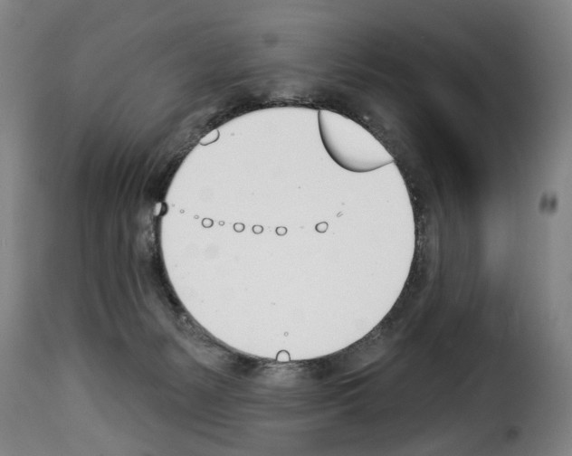 X0000114240127200911201143