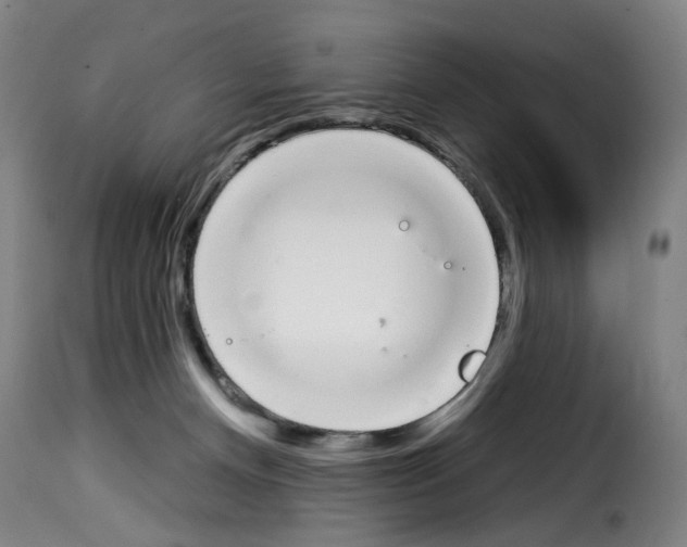 X0000114240128200911201143