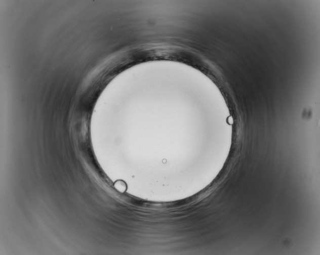 X0000114240129200911201143