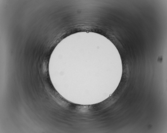 X0000114240131200911201143