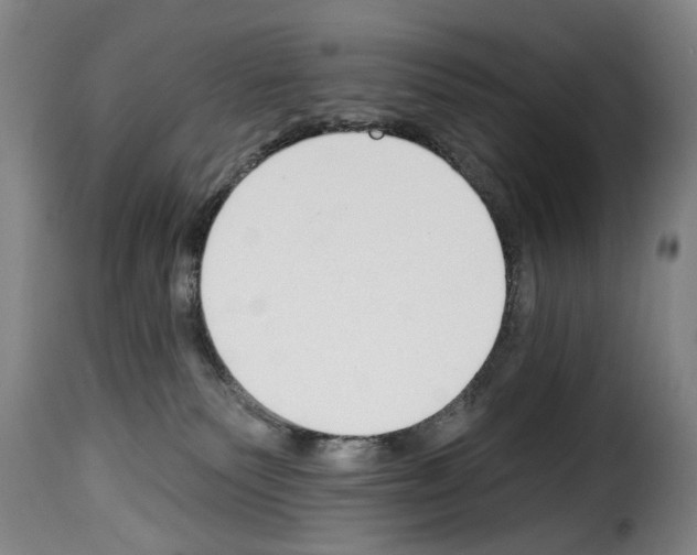 X0000114240135200911201142