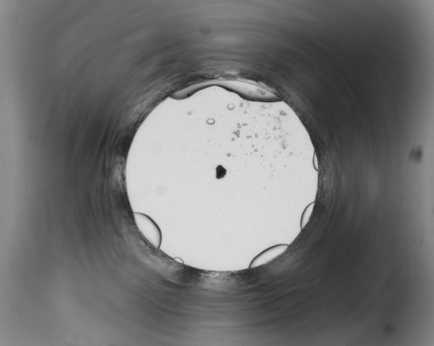 X0000114240141200911201142