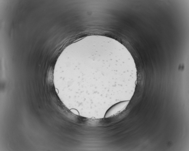 X0000114240143200911201142