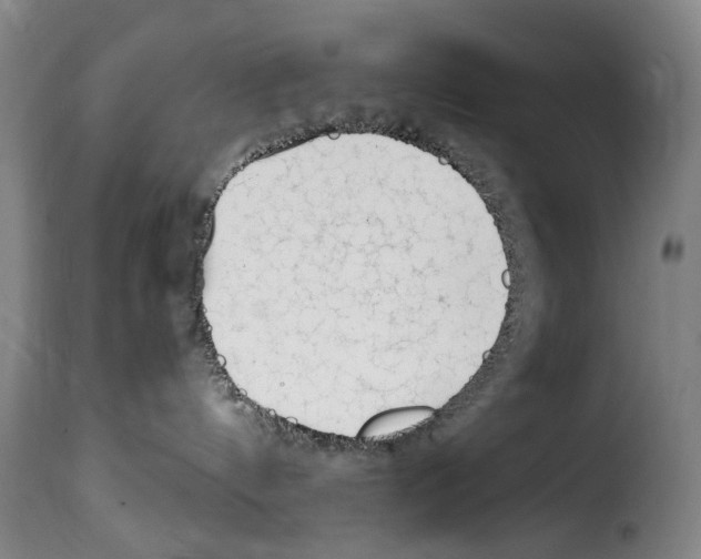 X0000114240144200911201142