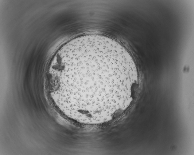 X0000114240145200911201142