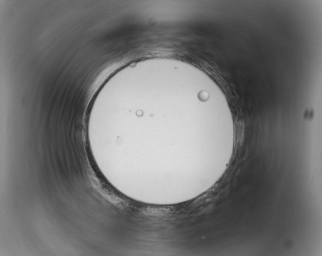 X0000114240147200911201142