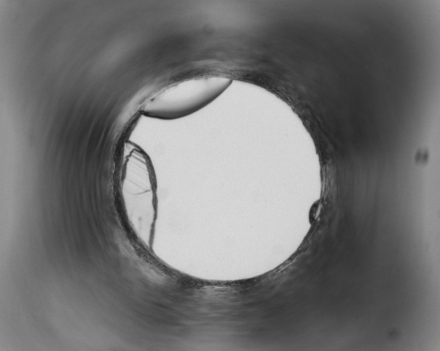 X0000114240150200911201142