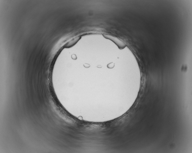 X0000114240151200911201142