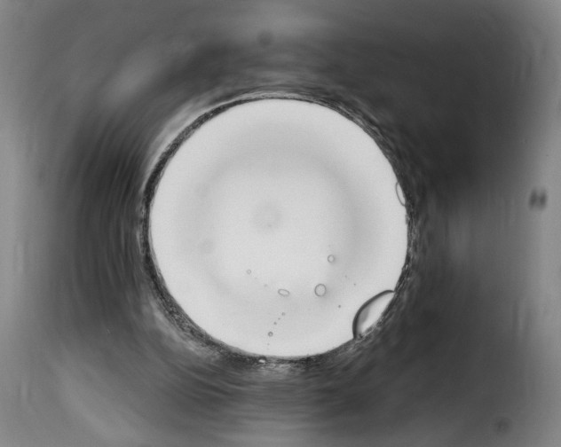 X0000114240152200911201142