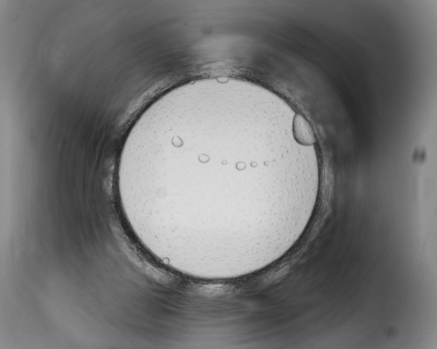 X0000114240153200911201142