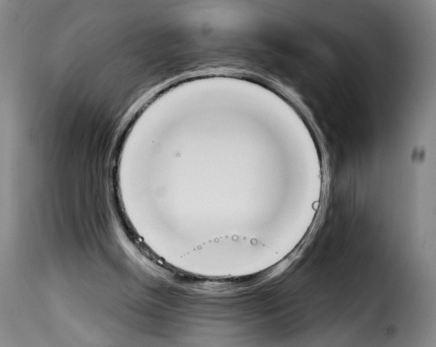 X0000114240154200911201142