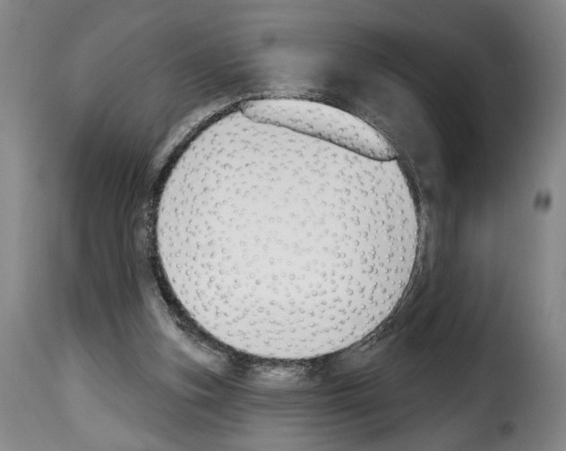 X0000114240155200911201142