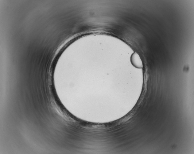 X0000114240156200911201142