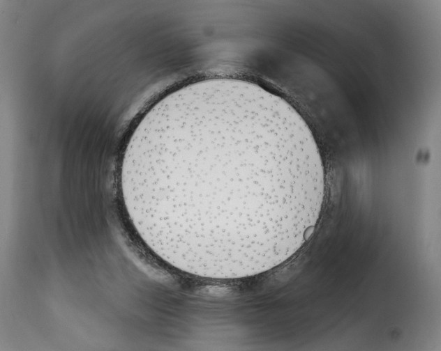 X0000114240159200911201142