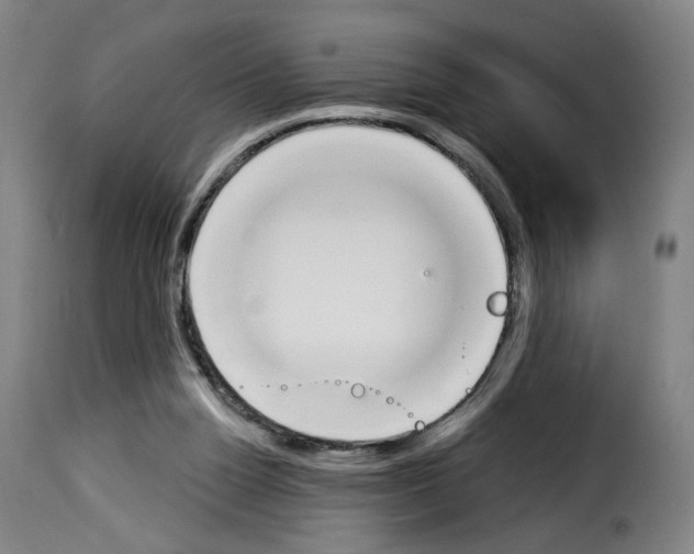 X0000114240160200911201142