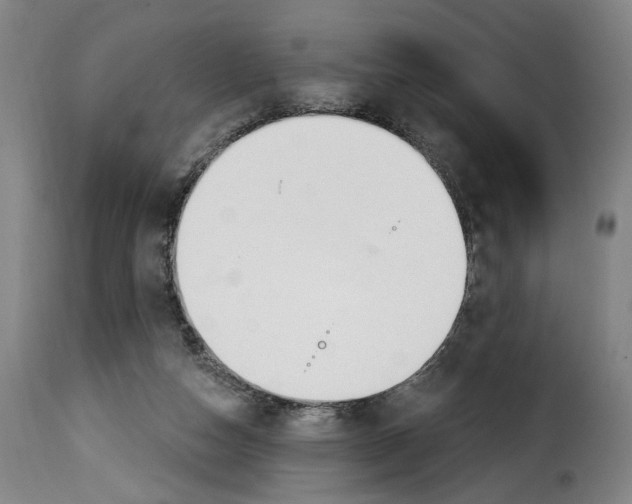 X0000114240162200911201142