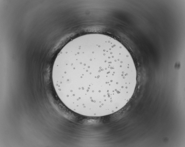 X0000114240163200911201142