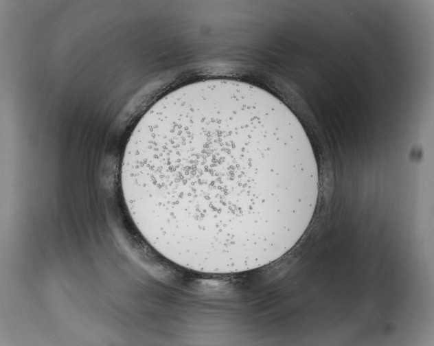 X0000114240167200911201142