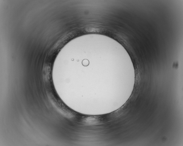 X0000114240171200911201142