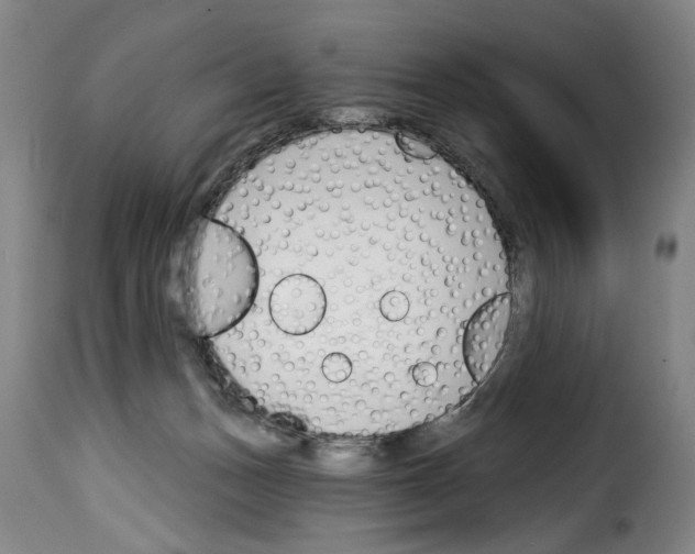 X0000114240175200911201142