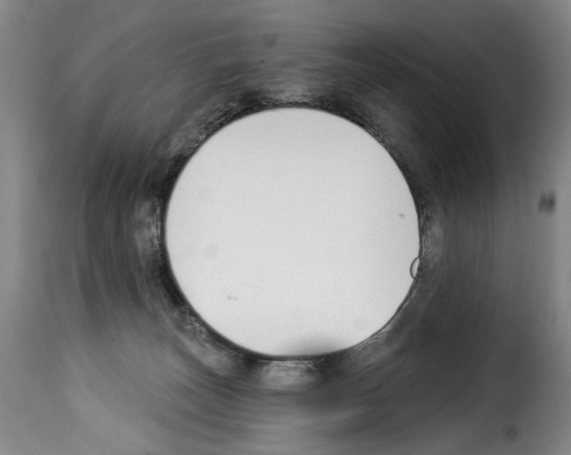 X0000114240179200911201142