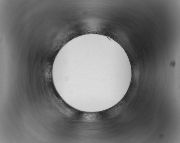 X0000114240181200911201142