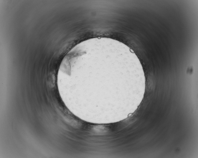 X0000114240183200911201142