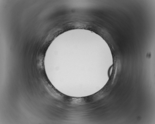 X0000114240185200911201142